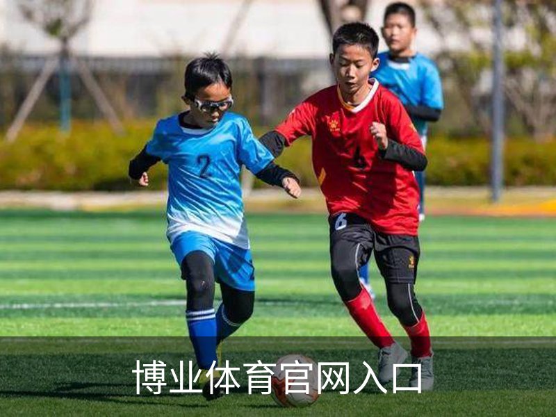 博业体育官网入口概况